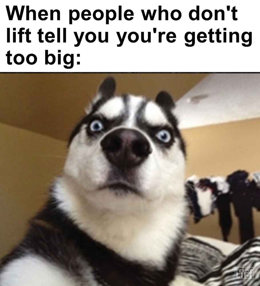 453 - When People Who Don't Lift Tell You You're Getting Too Big