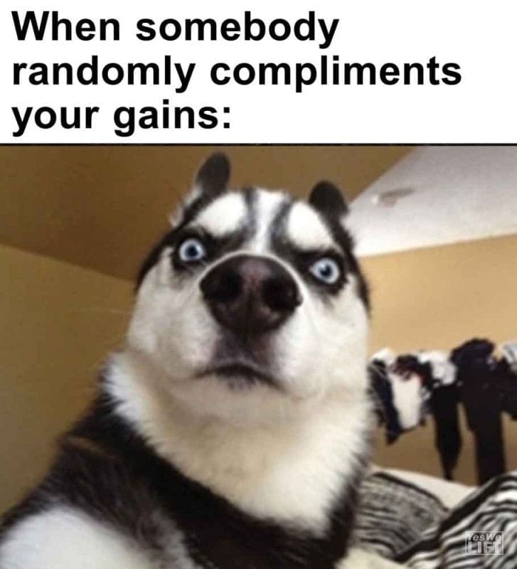 453 - When Somebody Randomly Compliments Your Gains
