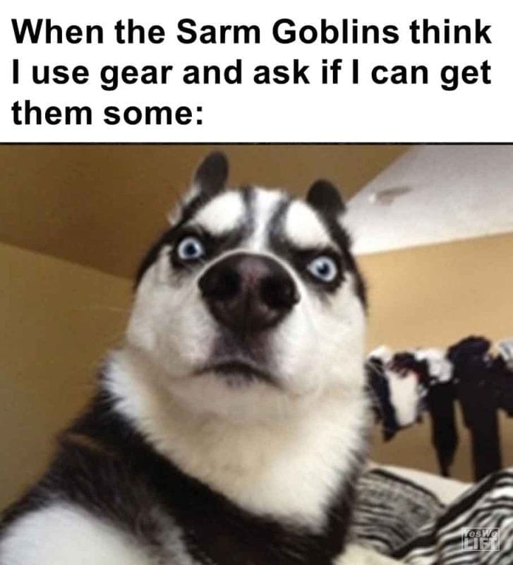 453 - When The Sarm Goblins Think I Use Gear And Ask If I Can Get Them Some