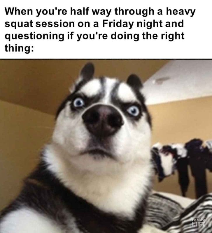 453 - When You're Half Way Through A Heavy Squat Session On A Friday Night And Questioning If You're Doing The Rig