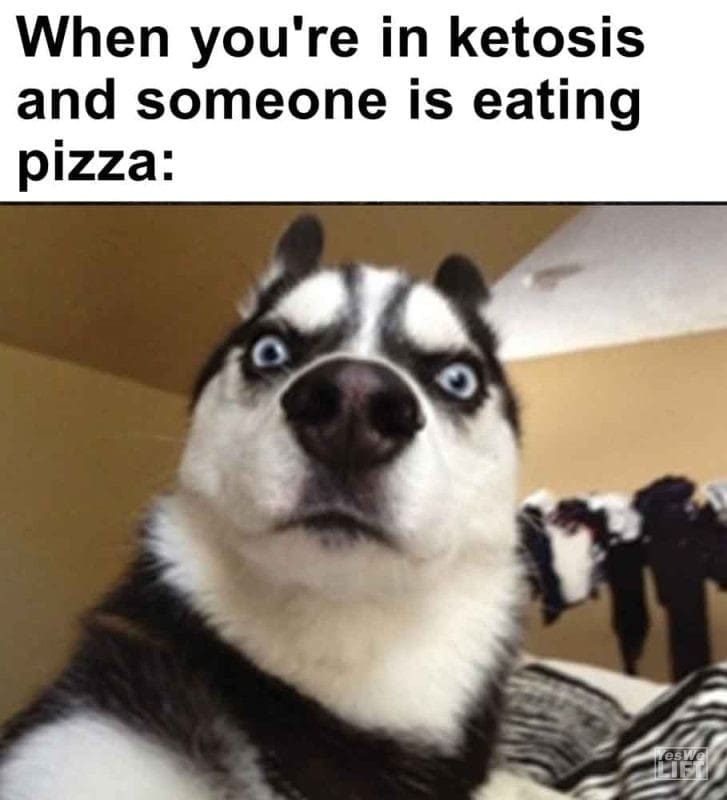 453 - When You're In Ketosis And Someone Is Eating Pizza