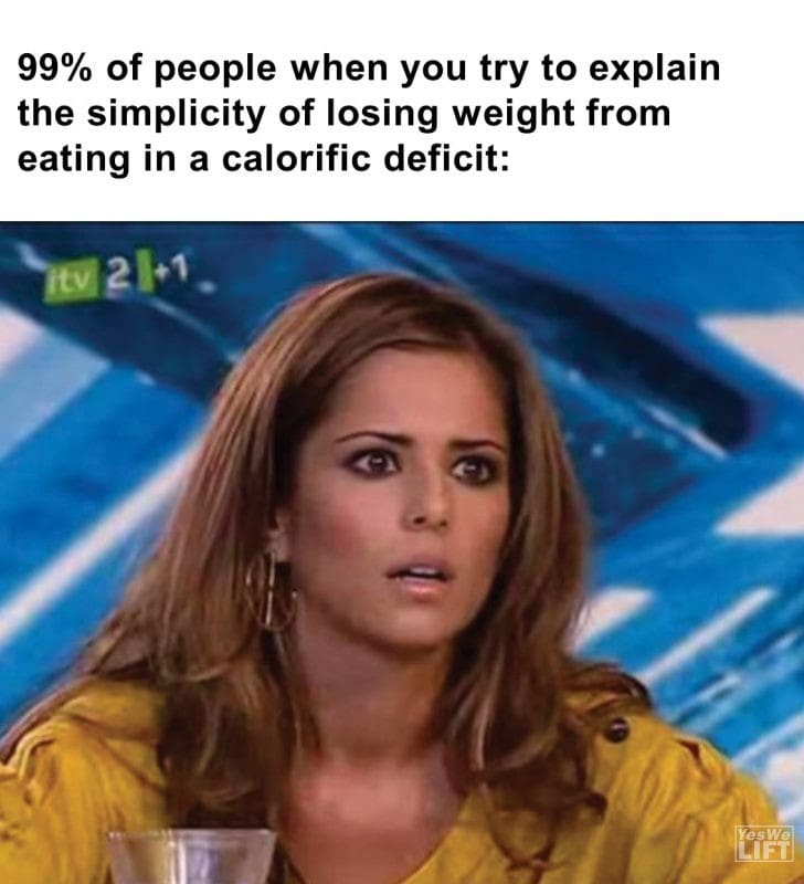 455 - 99 Of People When You Try To Explain The Simplicity Of Losing Weight From Eating In A Calorific Deficit
