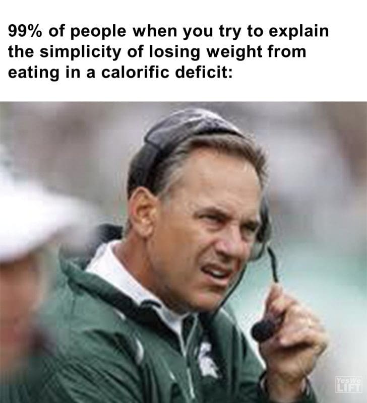 456 - 99 Of People When You Try To Explain The Simplicity Of Losing Weight From Eating In A Calorific Deficit
