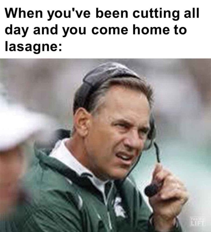 456 - When You've Been Cutting All Day And You Come Home To Lasagne