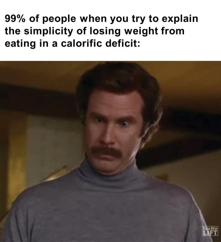 458 - 99 Of People When You Try To Explain The Simplicity Of Losing Weight From Eating In A Calorific Deficit