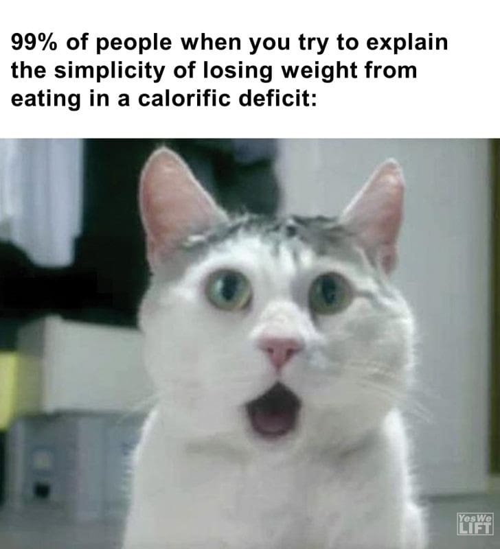 461 - 99 Of People When You Try To Explain The Simplicity Of Losing Weight From Eating In A Calorific Deficit