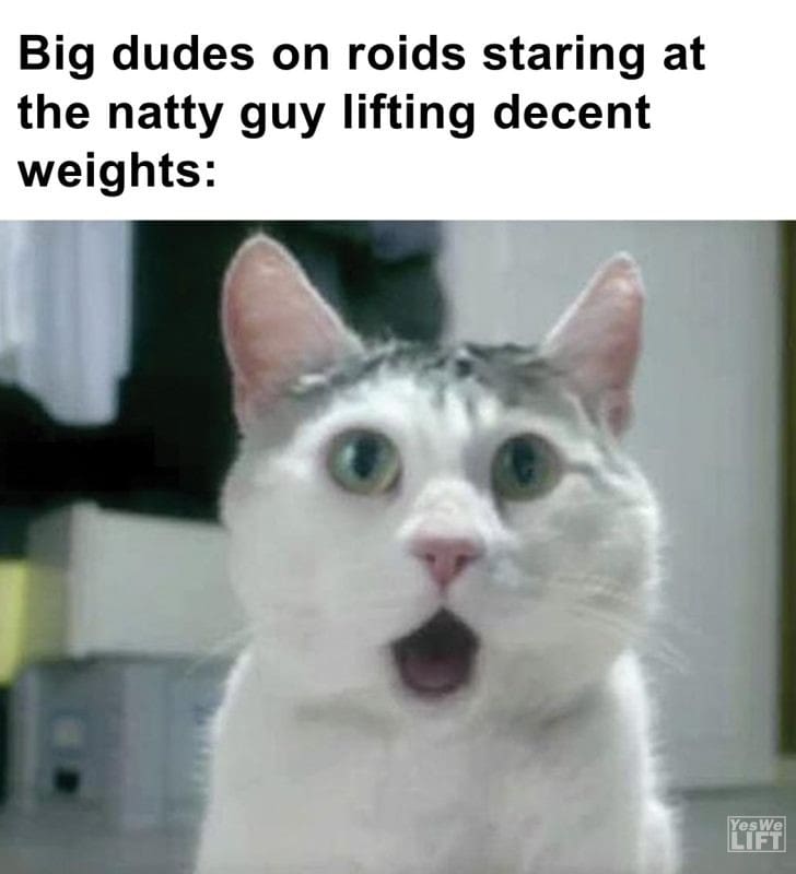 461 - Big Dudes On Roids Staring At The Natty Guy Lifting Decent Weights