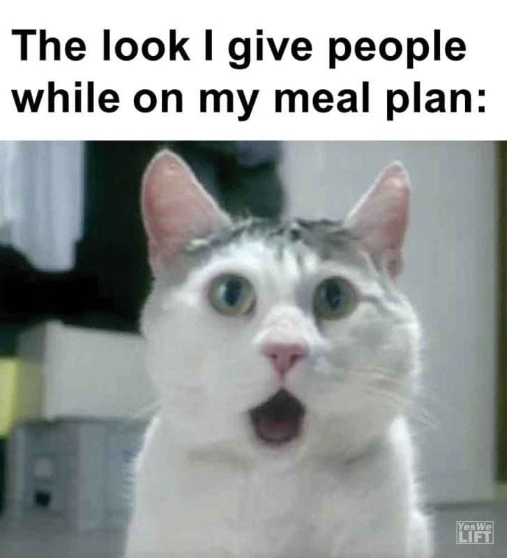 461 - The Look I Give People While On My Meal Plan