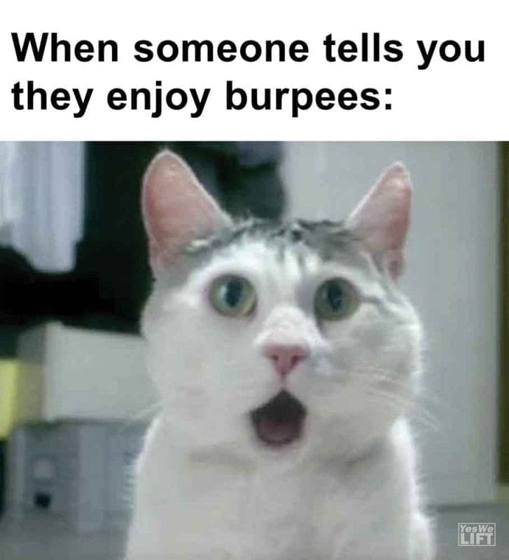 461 - When Someone Tells You They Enjoy Burpees