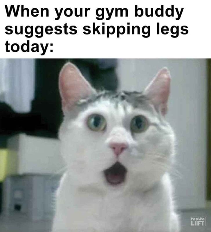 461 - When Your Gym Buddy Suggests Skipping Legs Today