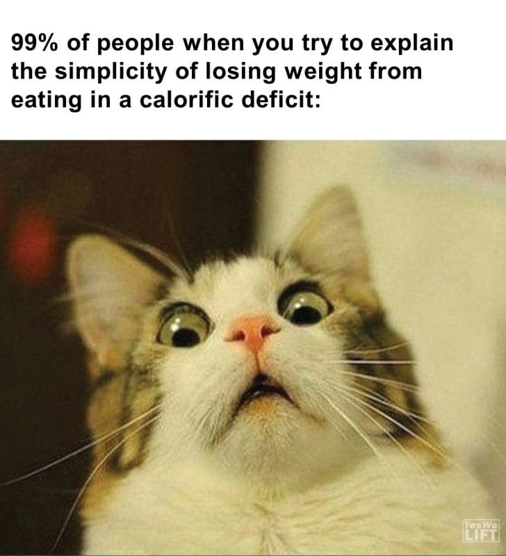 463 - 99 Of People When You Try To Explain The Simplicity Of Losing Weight From Eating In A Calorific Deficit