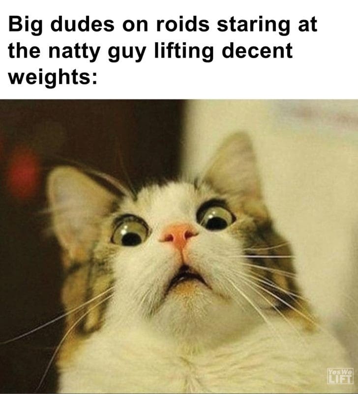 463 - Big Dudes On Roids Staring At The Natty Guy Lifting Decent Weights
