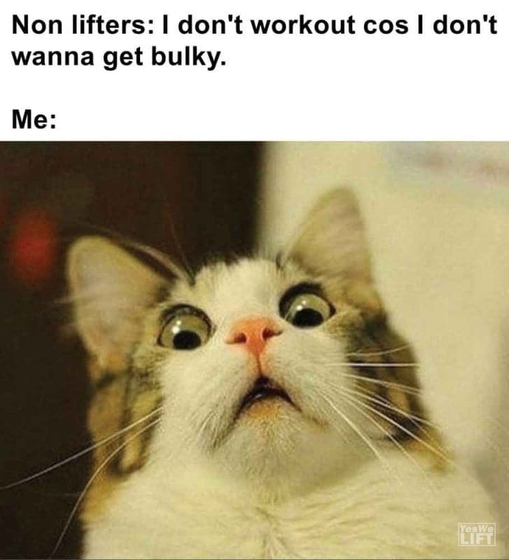 463 - Non Lifters I Don't Workout Cos I Don't Wanna Get Bulky. Me