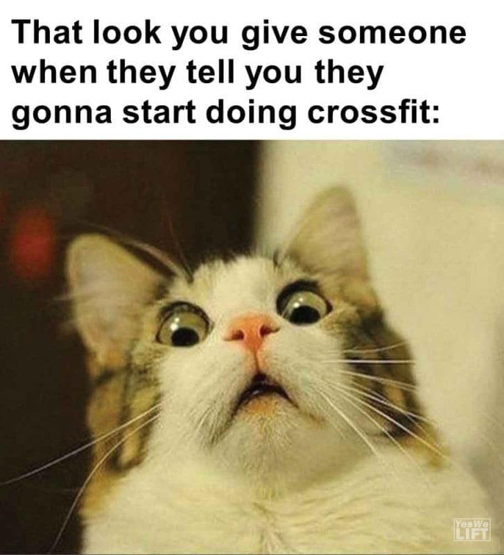 463 - That Look You Give Someone When They Tell You They Gonna Start Doing Crossfit
