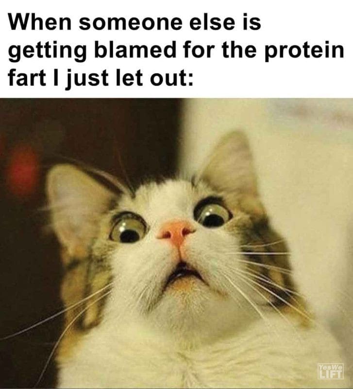 463 - When Someone Else Is Getting Blamed For The Protein Fart I Just Let Out
