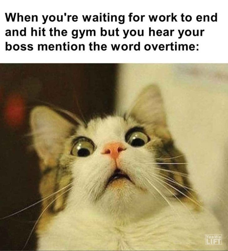 463 - When You're Waiting For Work To End And Hit The Gym But You Hear Your Boss Mention The Word Overtime