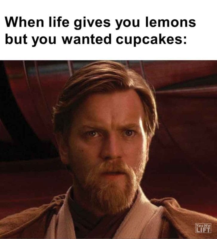 464 - When Life Gives You Lemons But You Wanted Cupcakes