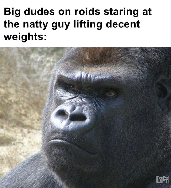 478 - Big Dudes On Roids Staring At The Natty Guy Lifting Decent Weights