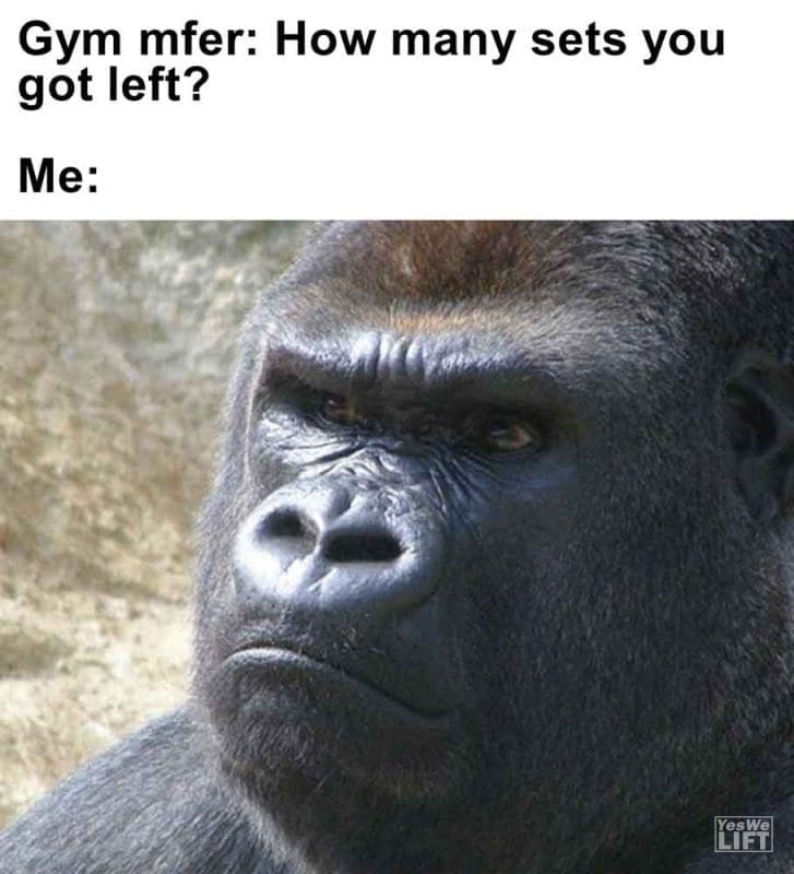 478 - Gym Mfer How Many Sets You Got Left Me