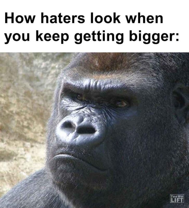 478 - How Haters Look When You Keep Getting Bigger