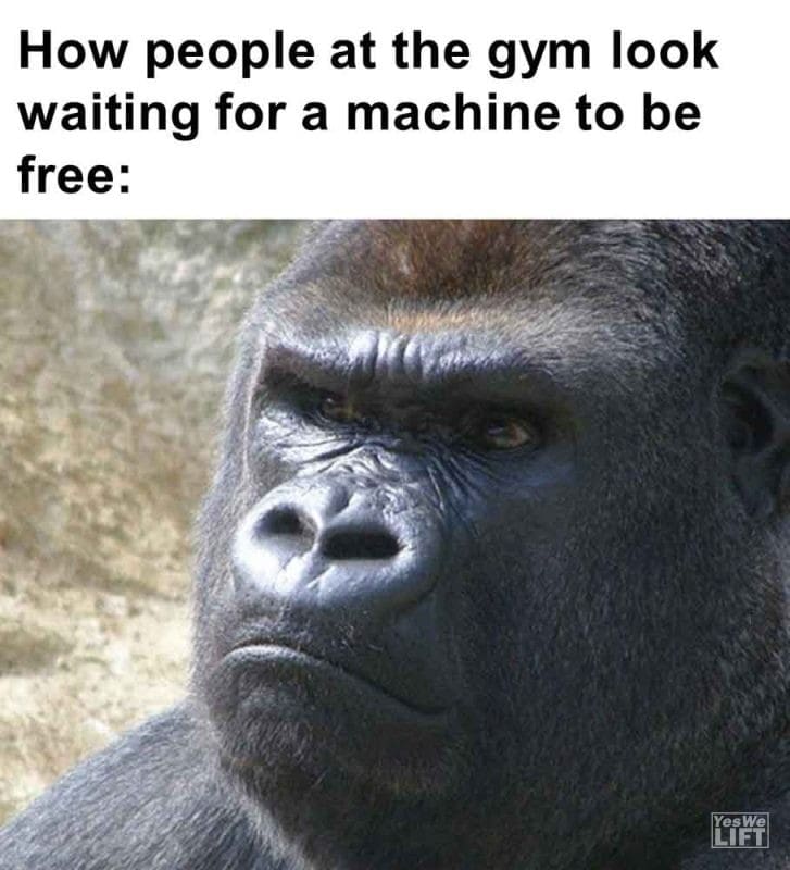 478 - How People At The Gym Look Waiting For A Machine To Be Free