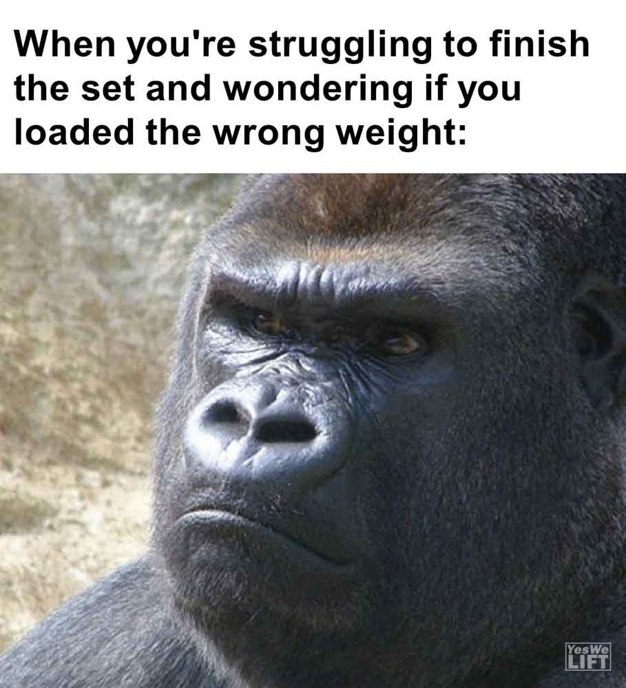478 - When You're Struggling To Finish The Set And Wondering If You Loaded The Wrong Weight