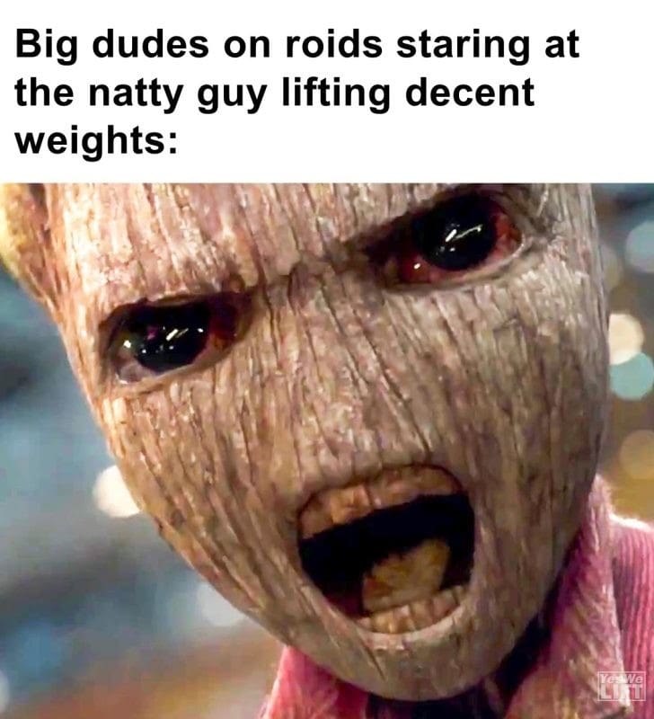 480 - Big Dudes On Roids Staring At The Natty Guy Lifting Decent Weights