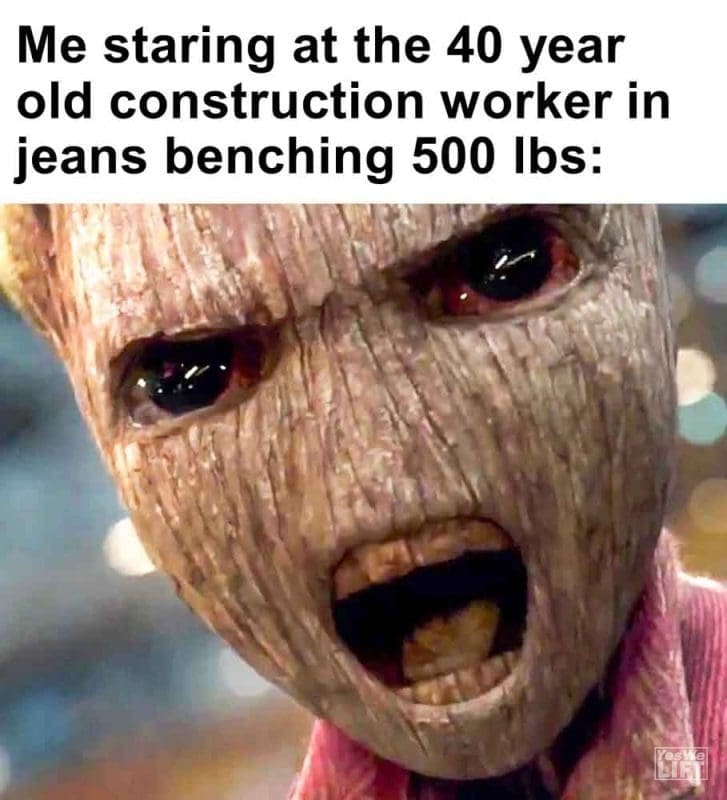 480 - Me Staring At The 40 Year Old Construction Worker In Jeans Benching 500 Lbs