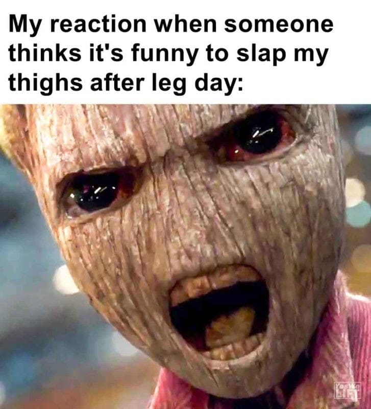 480 - My Reaction When Someone Thinks It's Funny To Slap My Thighs After Leg Day