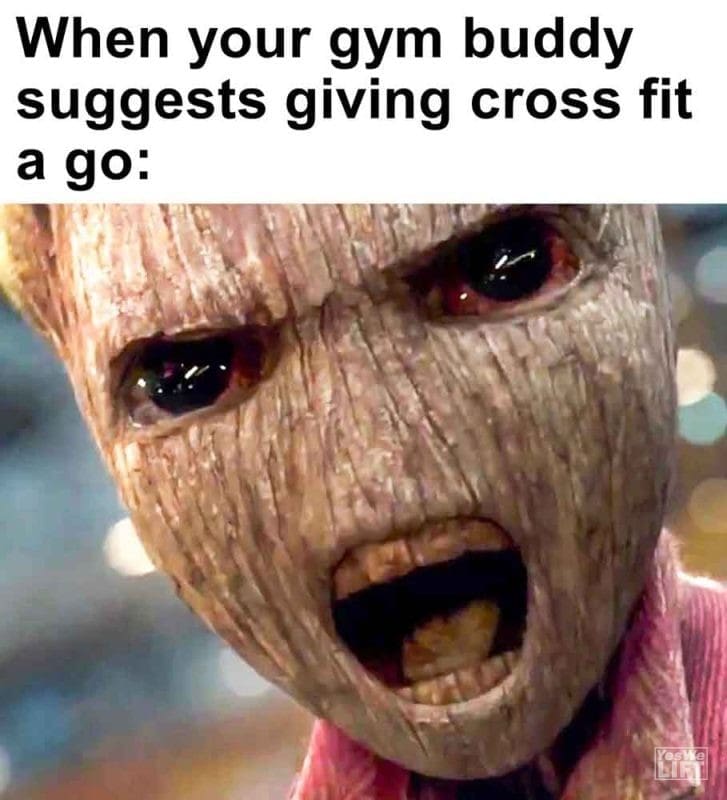 480 - When Your Gym Buddy Suggests Giving Cross Fit A Go