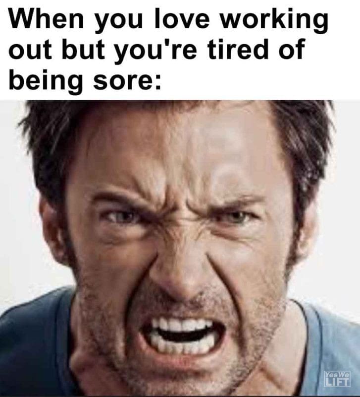 484 - When You Love Working Out But You're Tired Of Being Sore