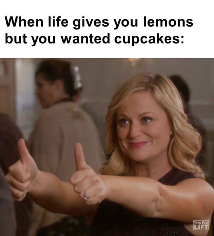 487   When Life Gives You Lemons But You Wanted Cupcakes