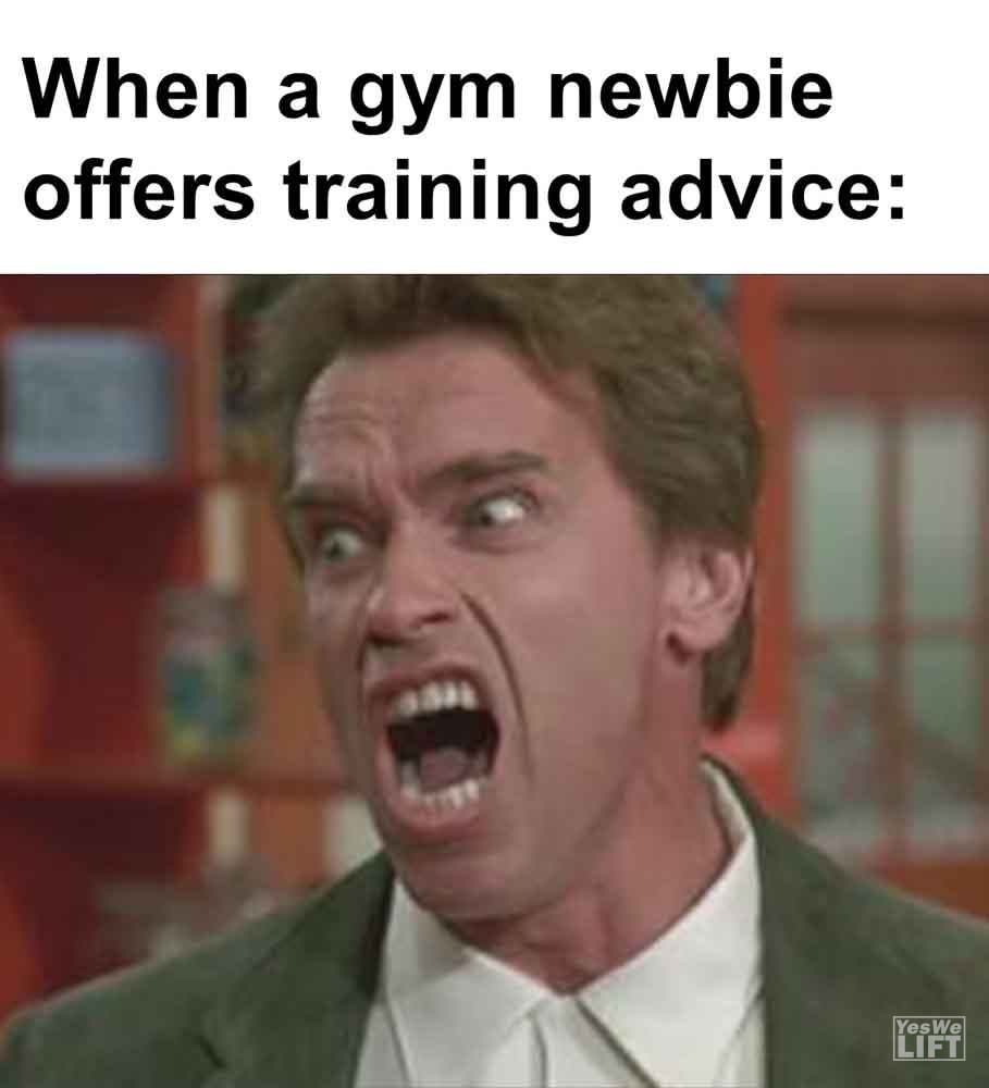 494   When A Gym Newbie Offers Training Advice