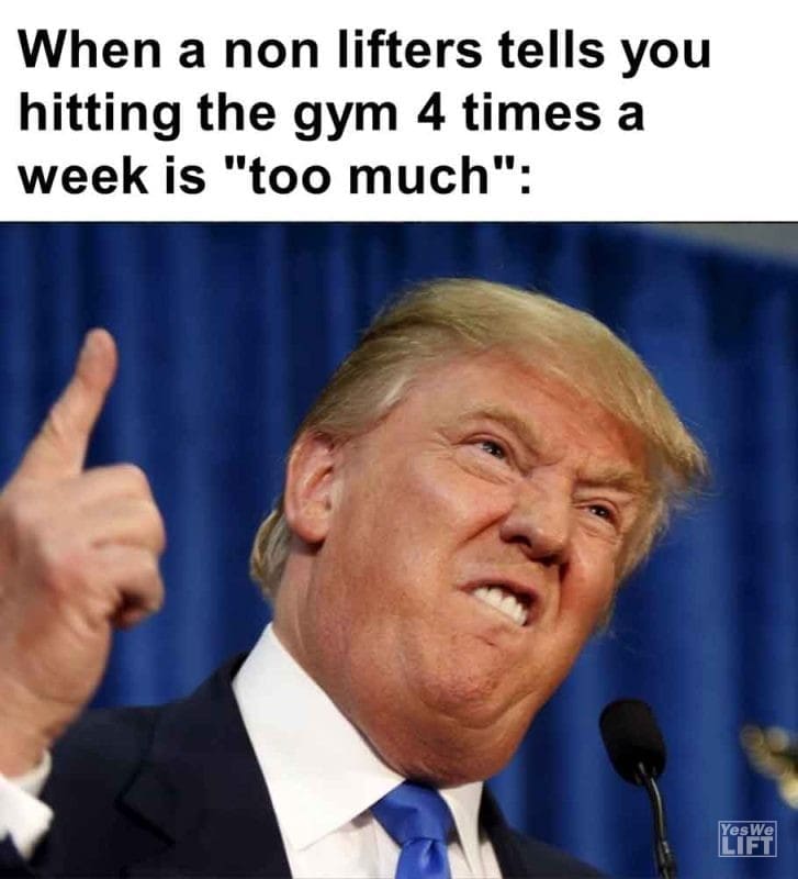 496 - When A Non Lifters Tells You Hitting The Gym 4 Times A Week Is Too Much