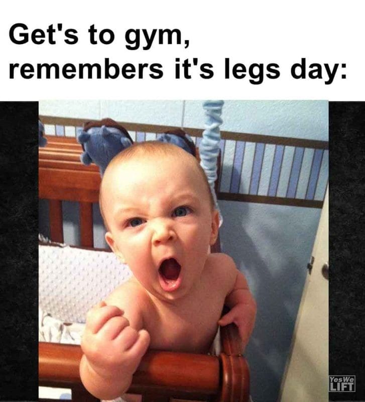 497 - Get's To Gym, Remembers It's Legs Day
