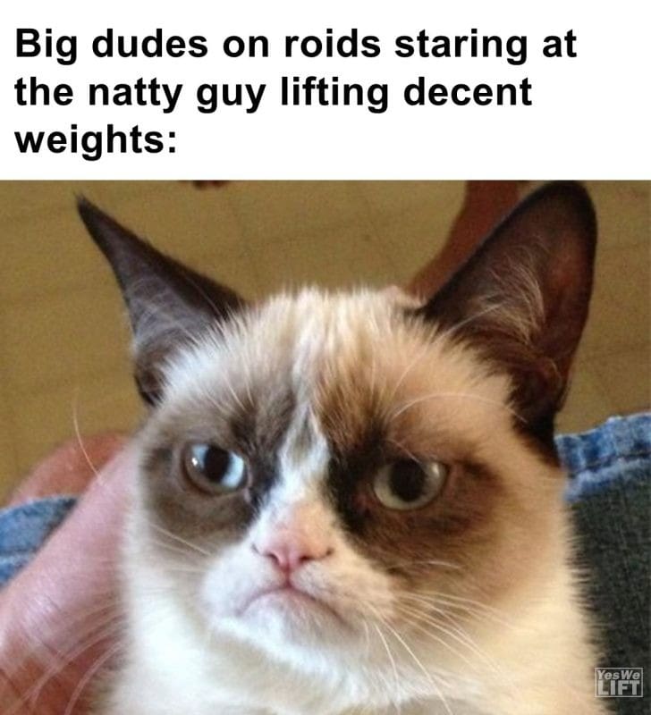 500 - Big Dudes On Roids Staring At The Natty Guy Lifting Decent Weights