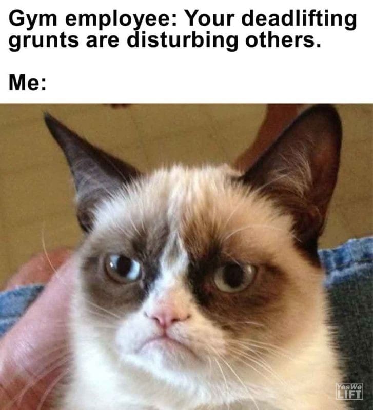 500 - Gym Employee Your Deadlifting Grunts Are Disturbing Others. Me
