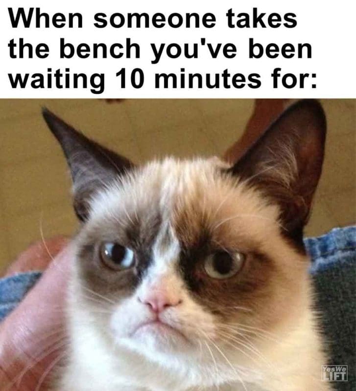 500 - When Someone Takes The Bench You've Been Waiting 10 Minutes For