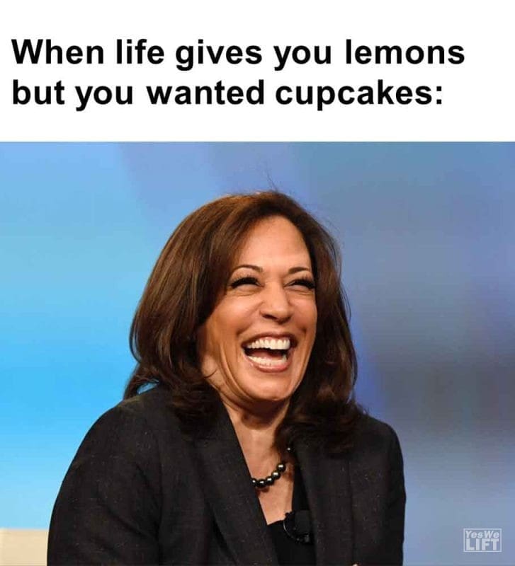 506 - When Life Gives You Lemons But You Wanted Cupcakes
