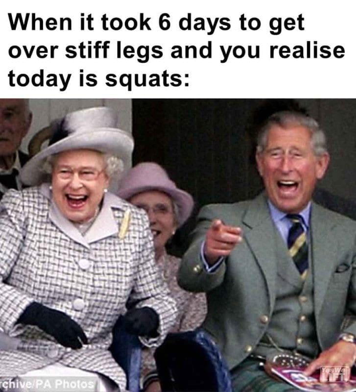 520 - When It Took 6 Days To Get Over Stiff Legs And You Realise Today Is Squats