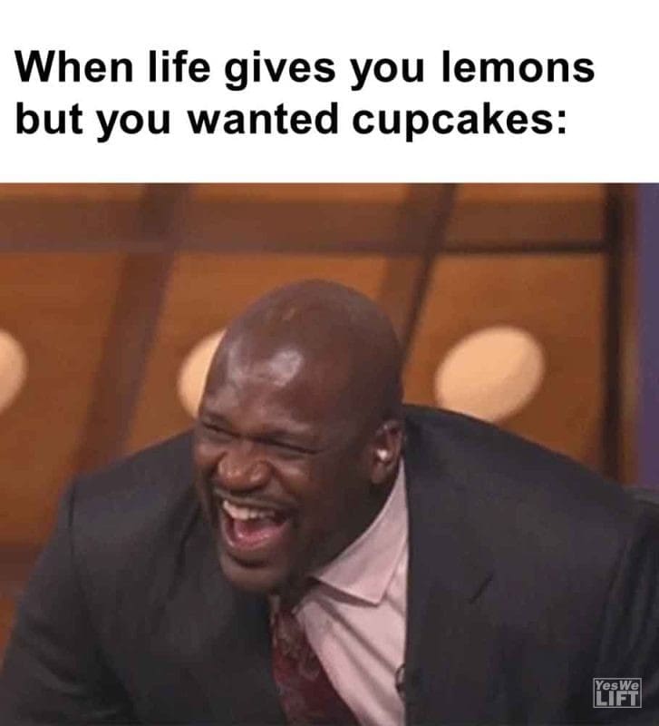 521 - When Life Gives You Lemons But You Wanted Cupcakes