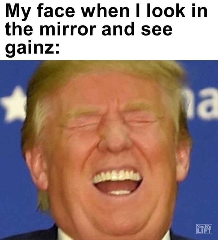530 - My Face When I Look In The Mirror And See Gainz