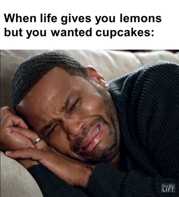 535   When Life Gives You Lemons But You Wanted Cupcakes