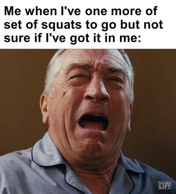537 - Me When I've One More Of Set Of Squats To Go But Not Sure If I've Got It In Me
