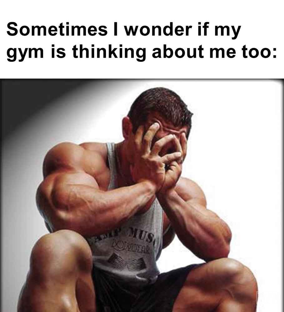 543 - Sometimes I Wonder If My Gym Is Thinking About Me Too