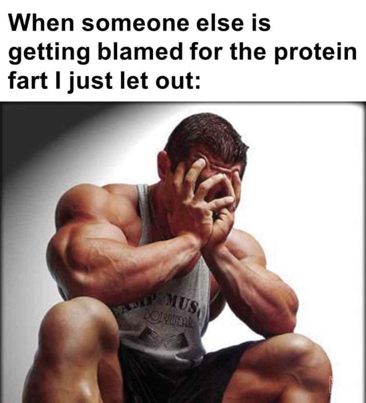 543 - When Someone Else Is Getting Blamed For The Protein Fart I Just Let Out