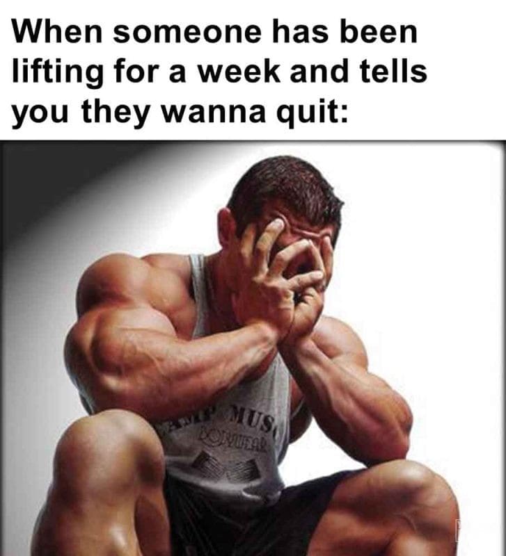 543 - When Someone Has Been Lifting For A Week And Tells You They Wanna Quit