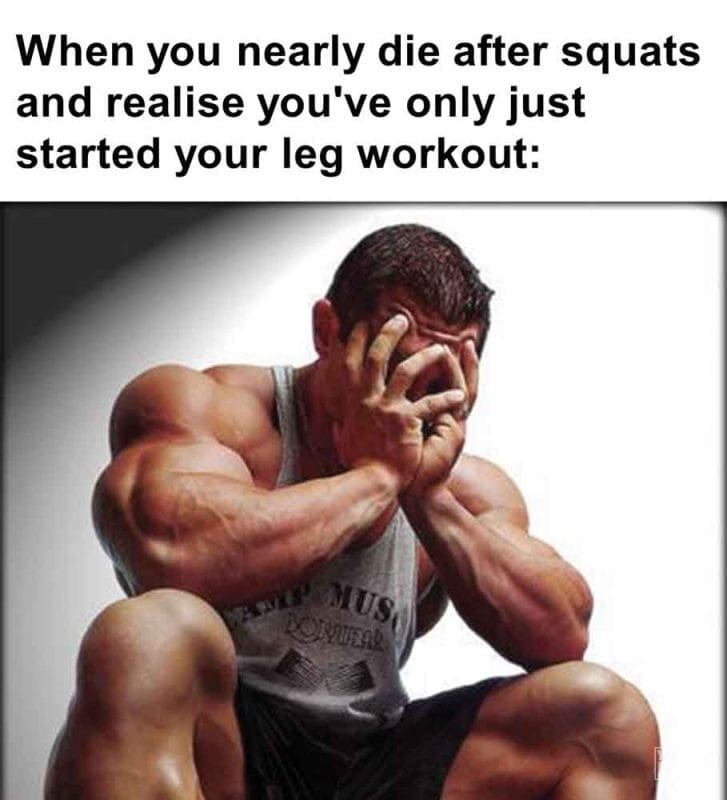 543 - When You Nearly Die After Squats And Realise You've Only Just Started Your Leg Workout