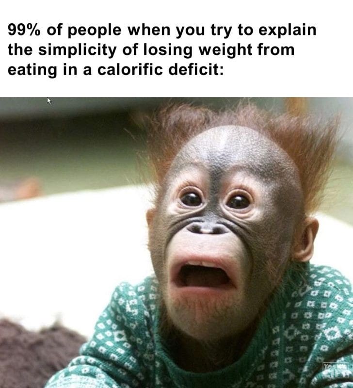 549 - 99 Of People When You Try To Explain The Simplicity Of Losing Weight From Eating In A Calorific Deficit