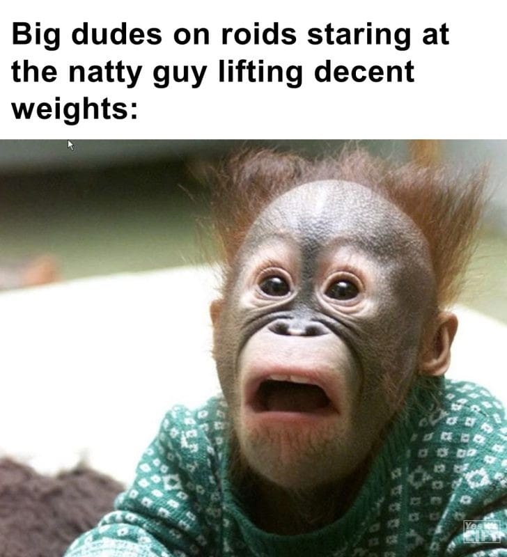 549 - Big Dudes On Roids Staring At The Natty Guy Lifting Decent Weights